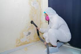 Best Asbestos and Lead Testing During Mold Inspection  in Flomaton, AL